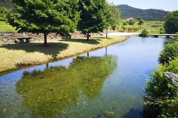Regina Hotel Group em Viana do Castelo